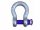 Shackle Omega Shackle 4.75T Screw-in bolt BW 4750kg