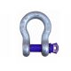 Shackle Omega Shackle 4.75T Screw-in bolt BW 4750kg
