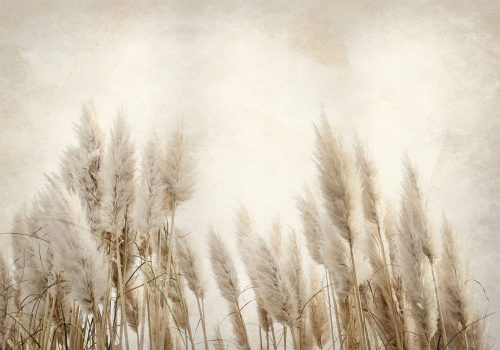 PAMPASS GRASS PHOTO WALLPAPER 400x280 bA-10095-aa
