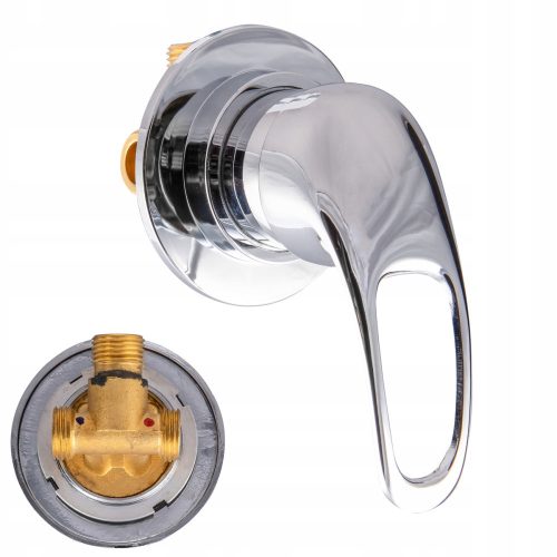 Inea Silber-Chrome-Shower fitting