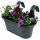  Balcony box 35 x 13.5 cm, plastic
