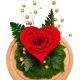 Flowers and flower boxes for Valentine's Day Eternal rose in a glass, fern and moss - RED Forest