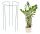  Metal plant supports 75 cm 3 pcs.