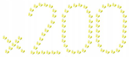 3M BILSOM 303L Anti-Noise Earplugs and Earplugs