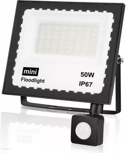 Halogen cold white 2800 lm 50 W