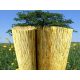Shade net for fence - reed mat, protective fence, fence 1.5x6.0 m