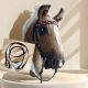  Set (WESTERN HEADSTALL - BIT - REINS) FOR HOBBY HORSE (A3 OR A4)