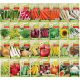  Rich seed set for spring vegetables 32 VARIETIES
