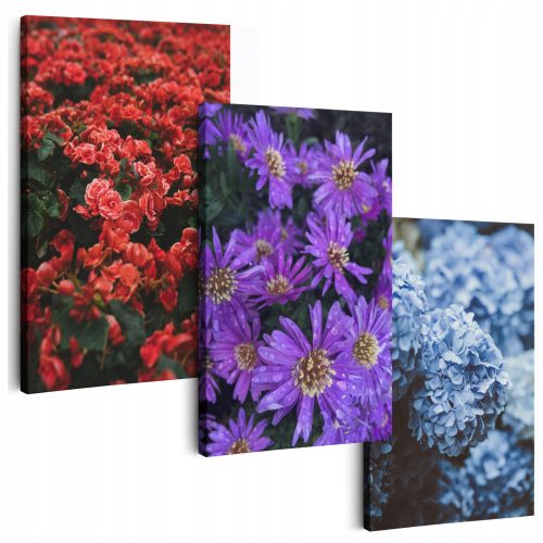 Tableaux au mur PEINTURES SUR TOILE 150 cm **nombreux motifs** PEINTURES POUR LE SALON FLEURS TRIPTIQUE