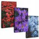 Tableaux au mur PEINTURES SUR TOILE 150 cm **nombreux motifs** PEINTURES POUR LE SALON FLEURS TRIPTIQUE