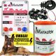 ELECTRIC SHEPHERD SET for DOGS, HORSES, DOGS, electric fence, mesh, INSULATOR