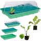  Mini greenhouse 38 cm x 24.5 cm, plastic