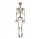  DECORATION HANGING SKELETON DEAD BONES 90CM