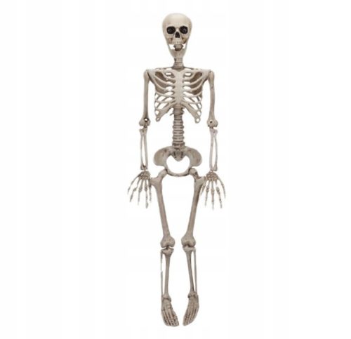  DECORATION HANGING SKELETON DEAD BONES 90CM