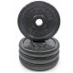  Proiron cast iron weight 10 kg (4x2.5kg)