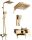 PDS Premium Exclusive + surface-mounted shower set